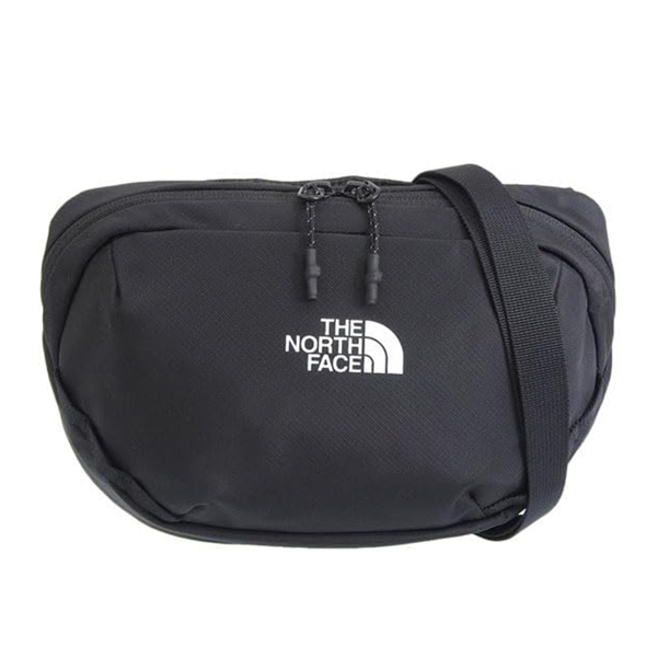 THE NORTH FACE The North Face Mini Nylon Shoulder Crossbody