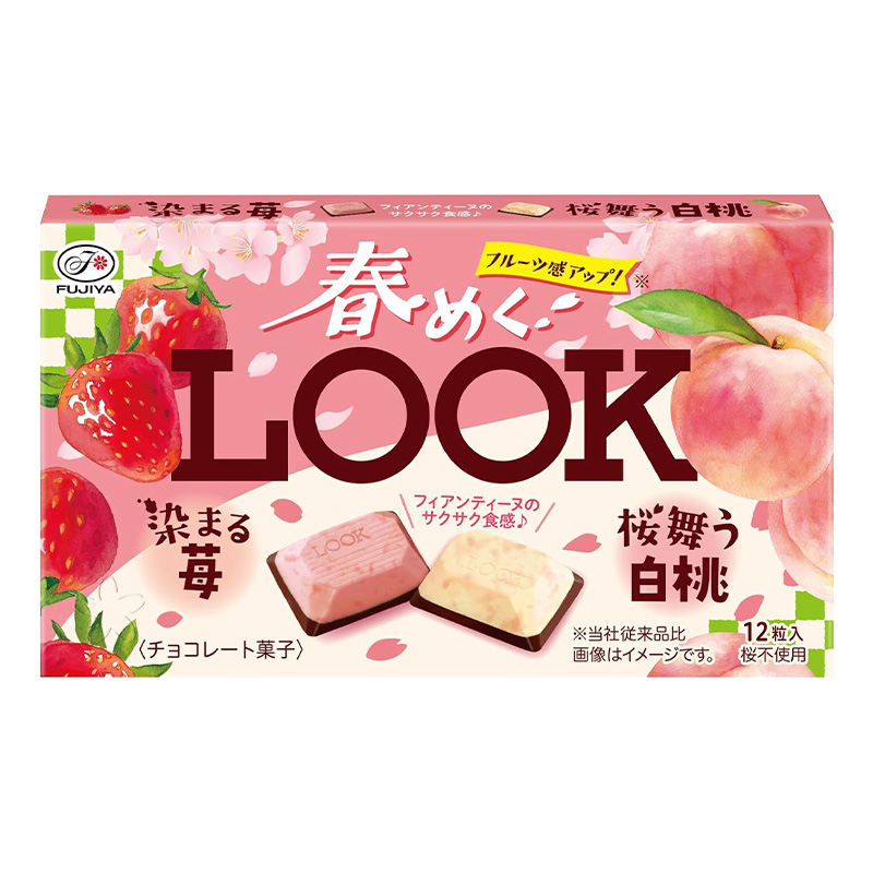 choco＊おまとめ割可 商品 レギュラー鳴子 生チョコレート「きなりね」 ラムレーズン味 16粒入 | 〈公式
