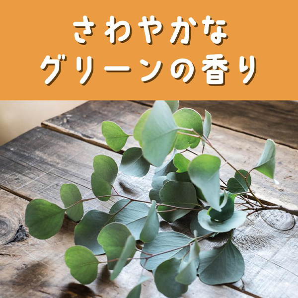KIN NO CHIKARA 大豆発酵エキス 10ml×5本 Amazon.co.jp: 日本酵素 165g : ドラッグストア