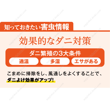 金鳥 押入れ 収納にダニコナーズ サンシャインフォレストの香り 2個入 เว ปไซต ดองก โฮเต ออนไลน ส งตรงจากญ ป น Donki Official Online Store